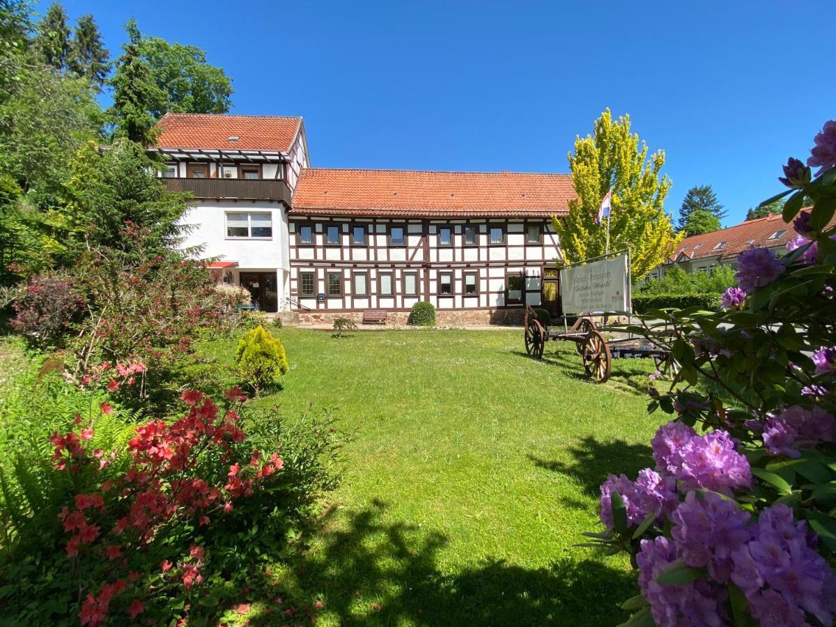 Hotel Pension Gelpkes Muehle Бад-Закса Екстер'єр фото